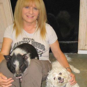 Meet your Posher, Dawn